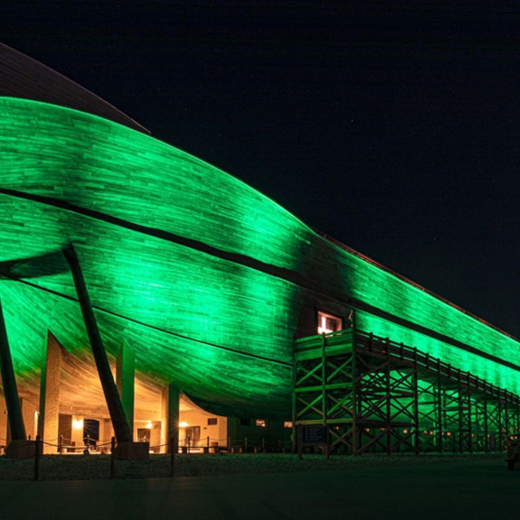 Ark in green again